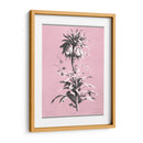 Dussurgey Imperiale En Rosa - Chabal Dussurgey | Cuadro decorativo de Canvas Lab