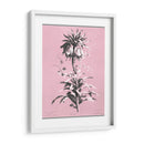 Dussurgey Imperiale En Rosa - Chabal Dussurgey | Cuadro decorativo de Canvas Lab