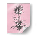 Dussurgey Imperiale En Rosa - Chabal Dussurgey | Cuadro decorativo de Canvas Lab