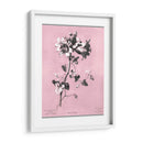 Dussurgey Amaryllis En Rosa - Chabal Dussurgey | Cuadro decorativo de Canvas Lab