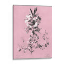 Dussurgey Lilium En Rosa - Chabal Dussurgey | Cuadro decorativo de Canvas Lab