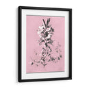 Dussurgey Lilium En Rosa - Chabal Dussurgey | Cuadro decorativo de Canvas Lab