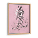 Dussurgey Lilium En Rosa - Chabal Dussurgey | Cuadro decorativo de Canvas Lab