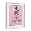 Dussurgey Lilium En Rosa - Chabal Dussurgey | Cuadro decorativo de Canvas Lab