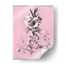 Dussurgey Lilium En Rosa - Chabal Dussurgey | Cuadro decorativo de Canvas Lab