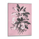Dussurgey Ellebore En Rosa - Chabal Dussurgey | Cuadro decorativo de Canvas Lab