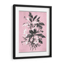 Dussurgey Ellebore En Rosa - Chabal Dussurgey | Cuadro decorativo de Canvas Lab