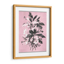 Dussurgey Ellebore En Rosa - Chabal Dussurgey | Cuadro decorativo de Canvas Lab