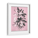 Dussurgey Ellebore En Rosa - Chabal Dussurgey | Cuadro decorativo de Canvas Lab