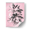 Dussurgey Ellebore En Rosa - Chabal Dussurgey | Cuadro decorativo de Canvas Lab