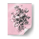 Russurgey Rosas En Rosa - Chabal Dussurgey | Cuadro decorativo de Canvas Lab