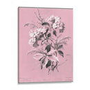 Didsurgey Hydrangea En Rosa - Chabal Dussurgey | Cuadro decorativo de Canvas Lab