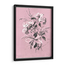 Didsurgey Hydrangea En Rosa - Chabal Dussurgey | Cuadro decorativo de Canvas Lab