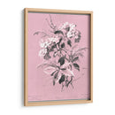 Didsurgey Hydrangea En Rosa - Chabal Dussurgey | Cuadro decorativo de Canvas Lab
