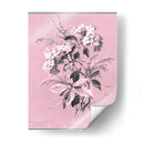 Didsurgey Hydrangea En Rosa - Chabal Dussurgey | Cuadro decorativo de Canvas Lab