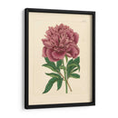 Evas Garden I - Vision Studio | Cuadro decorativo de Canvas Lab