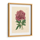 Evas Garden I - Vision Studio | Cuadro decorativo de Canvas Lab