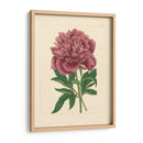 Evas Garden I - Vision Studio | Cuadro decorativo de Canvas Lab