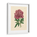 Evas Garden I - Vision Studio | Cuadro decorativo de Canvas Lab