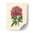 Evas Garden I - Vision Studio | Cuadro decorativo de Canvas Lab