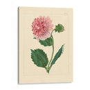 Evas Garden Ii - Vision Studio | Cuadro decorativo de Canvas Lab