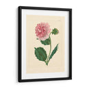 Evas Garden Ii - Vision Studio | Cuadro decorativo de Canvas Lab