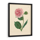 Evas Garden Ii - Vision Studio | Cuadro decorativo de Canvas Lab