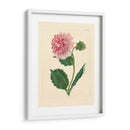 Evas Garden Ii - Vision Studio | Cuadro decorativo de Canvas Lab