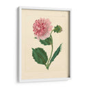 Evas Garden Ii - Vision Studio | Cuadro decorativo de Canvas Lab