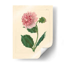 Evas Garden Ii - Vision Studio | Cuadro decorativo de Canvas Lab