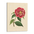 Evas Garden Iii - Vision Studio | Cuadro decorativo de Canvas Lab