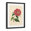 Evas Garden Iii - Vision Studio | Cuadro decorativo de Canvas Lab