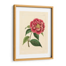 Evas Garden Iii - Vision Studio | Cuadro decorativo de Canvas Lab