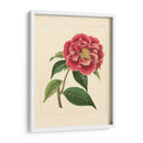 Evas Garden Iii - Vision Studio | Cuadro decorativo de Canvas Lab