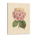 Evas Garden Iv - Vision Studio | Cuadro decorativo de Canvas Lab