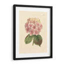 Evas Garden Iv - Vision Studio | Cuadro decorativo de Canvas Lab