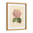 Evas Garden Iv - Vision Studio | Cuadro decorativo de Canvas Lab