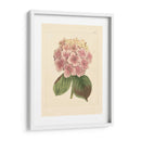 Evas Garden Iv - Vision Studio | Cuadro decorativo de Canvas Lab