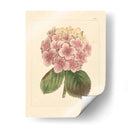 Evas Garden Iv - Vision Studio | Cuadro decorativo de Canvas Lab