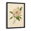 Evas Garding V - Vision Studio | Cuadro decorativo de Canvas Lab