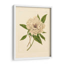 Evas Garding V - Vision Studio | Cuadro decorativo de Canvas Lab