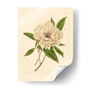 Evas Garding V - Vision Studio | Cuadro decorativo de Canvas Lab