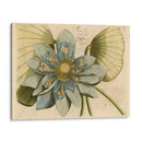 Flor De Loto Azul I - Vision Studio | Cuadro decorativo de Canvas Lab