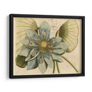 Flor De Loto Azul I - Vision Studio | Cuadro decorativo de Canvas Lab