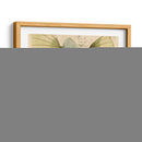 Flor De Loto Azul I - Vision Studio | Cuadro decorativo de Canvas Lab