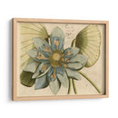 Flor De Loto Azul I - Vision Studio | Cuadro decorativo de Canvas Lab