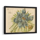 Lotus Flor Azul Ii - Vision Studio | Cuadro decorativo de Canvas Lab