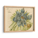 Lotus Flor Azul Ii - Vision Studio | Cuadro decorativo de Canvas Lab