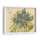 Lotus Flor Azul Ii - Vision Studio | Cuadro decorativo de Canvas Lab