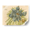 Lotus Flor Azul Ii - Vision Studio | Cuadro decorativo de Canvas Lab